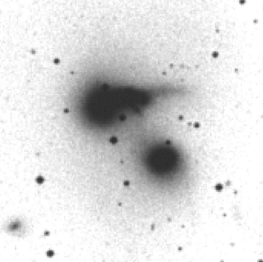 compact groups show diffuse X-ray