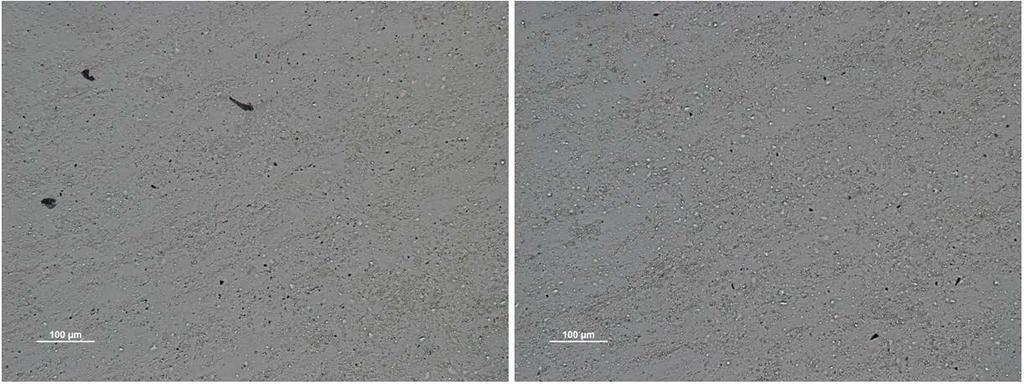 figure 30 Surface pictures sample R09.