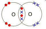 that are bonded together by sharing electrons l Examples of molecules: the