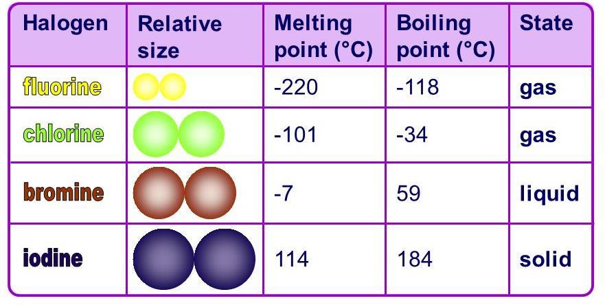 L4: Properties of halogens and noble gases Group 7 (halogens) Group 7 contains non-metal elements placed in a vertical column on the right of the periodic table.