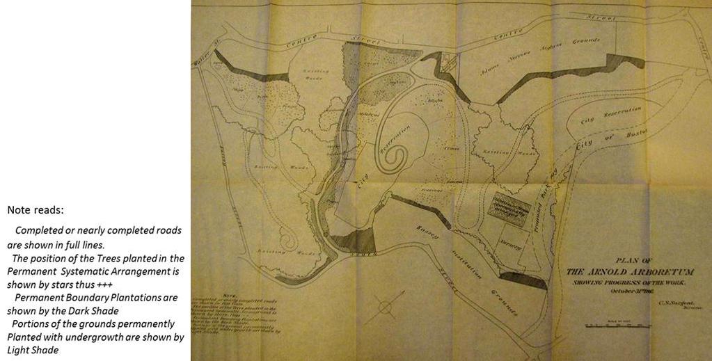 of trees planted in the systematic arrangement. The first very rudimentary map titled Plan of the Arnold Arboretum Sh