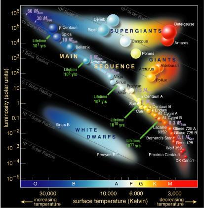 Absolute bolometric magnitude has been converted into luminosity, Note that the stars