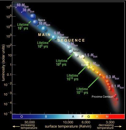 Main sequence stars Burning hydrogen in their cores Stellar masses decrease downward Temperatures are hotter for more massive