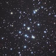 M44: The "Beehive Cluster.