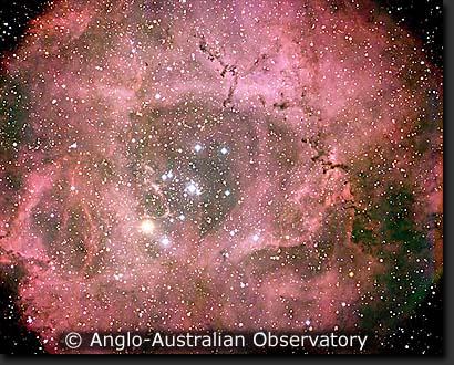 Rosebe nebula a star forming region which has