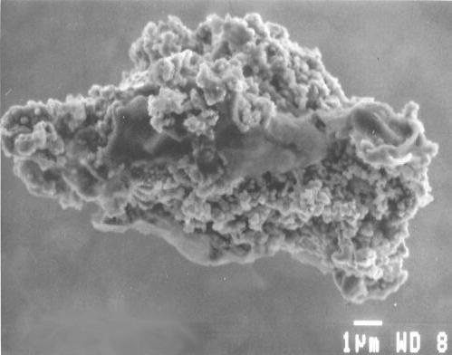 Interstellar dust grains These examples (from solar system) are much larger than