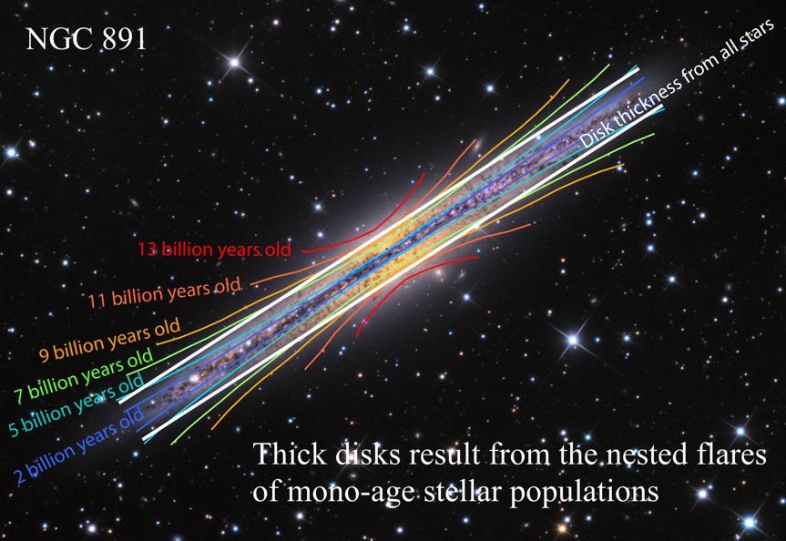 cartoon of spiral galaxy disk showing