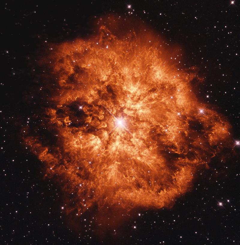 Negative Feedback from Star Formation A Wolf-Rayet star