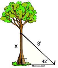 G. Vectors: 1. A nursery plants a new tree and attaches a guy-wire to help support the tree while its roots take hold.