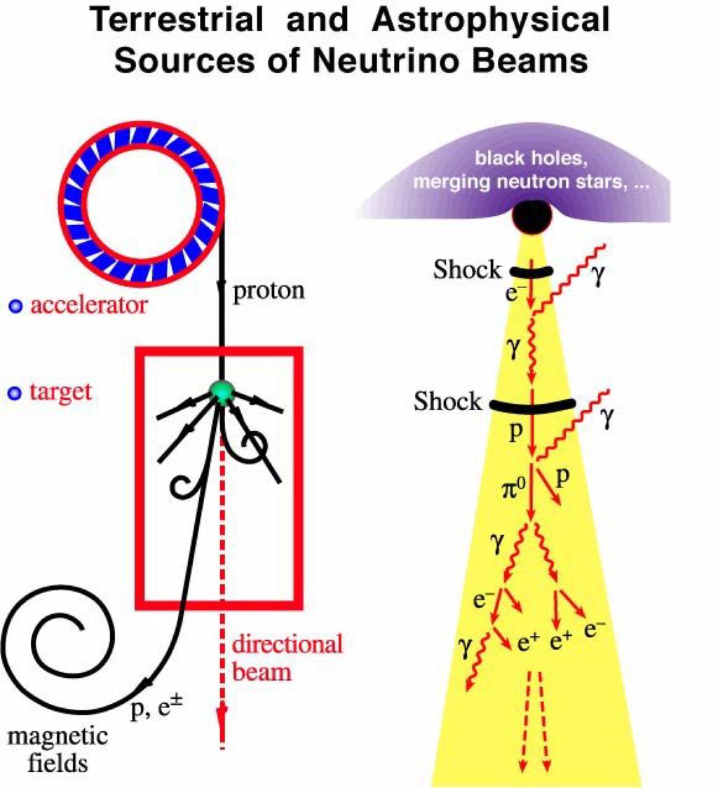 Astrophysical Neutrinos GZK neutrinos pion and muon decays are important sources of neutrinos observation of neutrinos from astrophysical sources would provide proof of hadronic