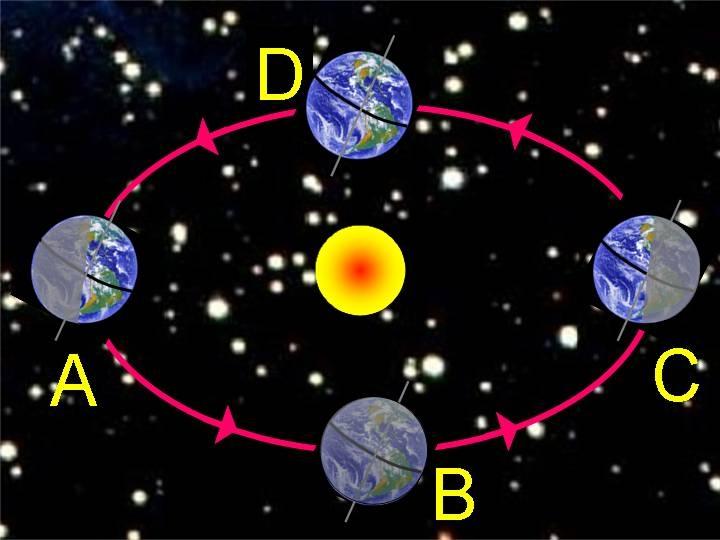 The Earth only goes around 1 star, our Sun. Other stars are much farther away.