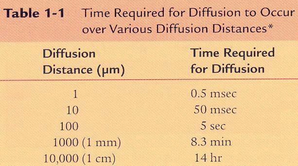 Time required for diffusion