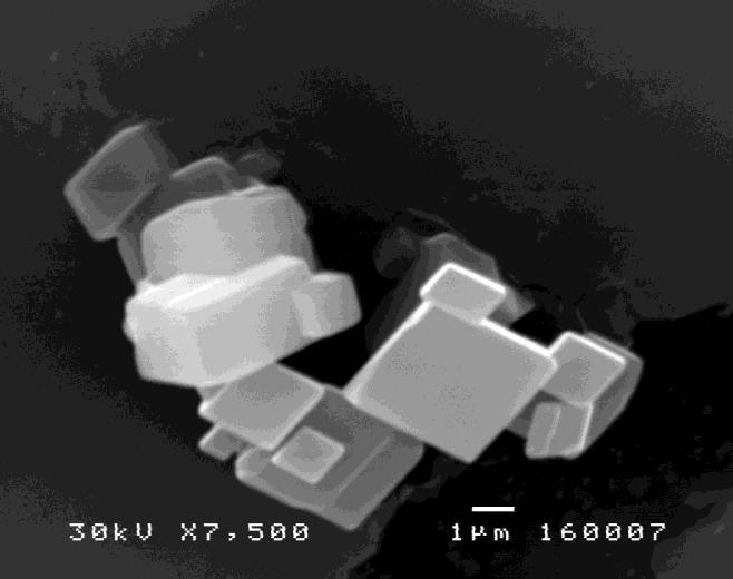 64 I. S. RADONJIĆ, T. M. PAVLOVIĆ. Fig. 4 SEM image of CaCO 3 particles at magnification of U=7500 Figure 4 shows that CaCO 3 particles have a cubic structure diameter of about 30 μm.