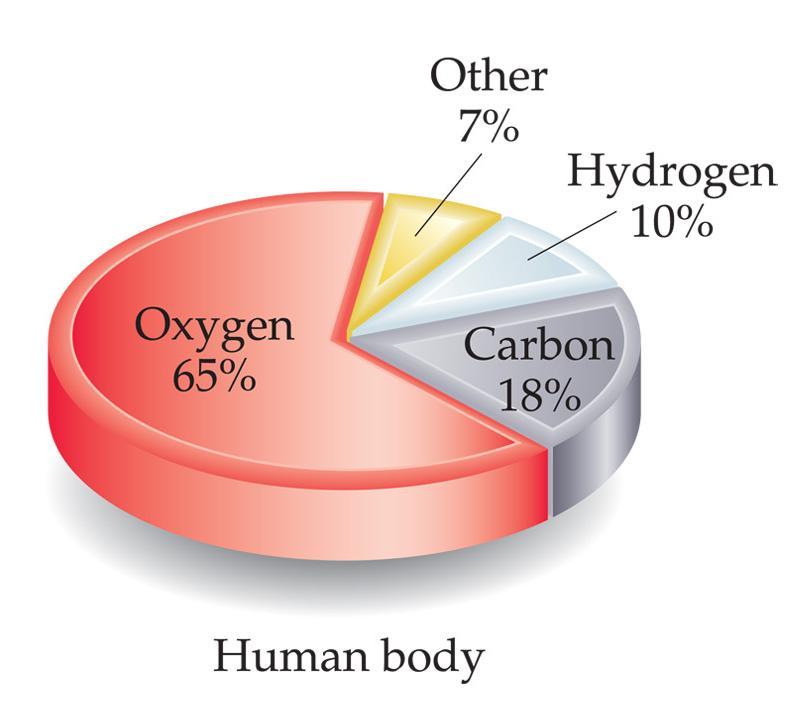 Your body is worth less than $1.00 Elements in the Human Body Oxygen 65.0 % Carbon 18.0 % Hydrogen 10.