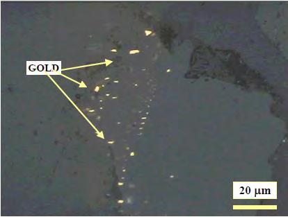 sulphides Two gold populations: Coarse >10µm & Fine <10µm Gold with pyrrhotite (PO),