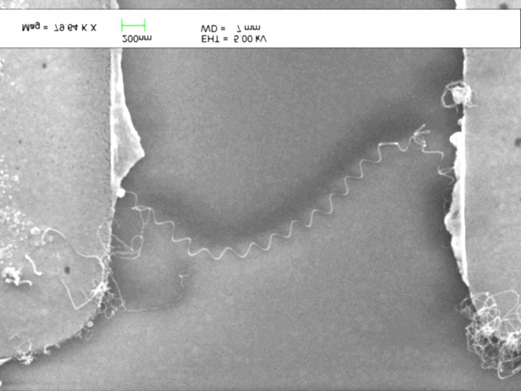 Carbon Nanotubes First electrical Characterization of a coiled MW-CNT Single Carbon Nanotube grown between two Pt-electrodes Au-contact nanotube