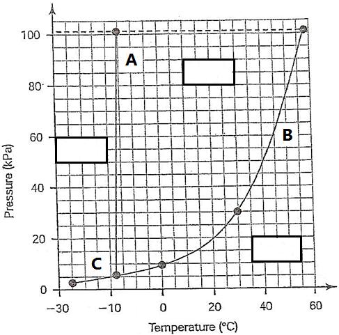 Phase Diagram of Bromine (Br2) In Class Example [Note that the scales are distorted to emphasize some of the graph s features] Directions: Answer the questions below using the phase diagram of