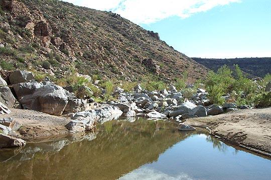 STOP # 11 Granodiorite Boulders at the river.