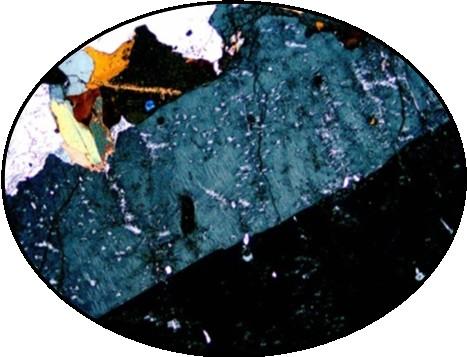 quartz matrix. d) Taken under PPL of leucogranite.