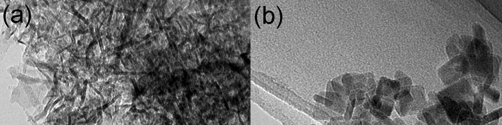 Fig. S6 TEM images of (a)
