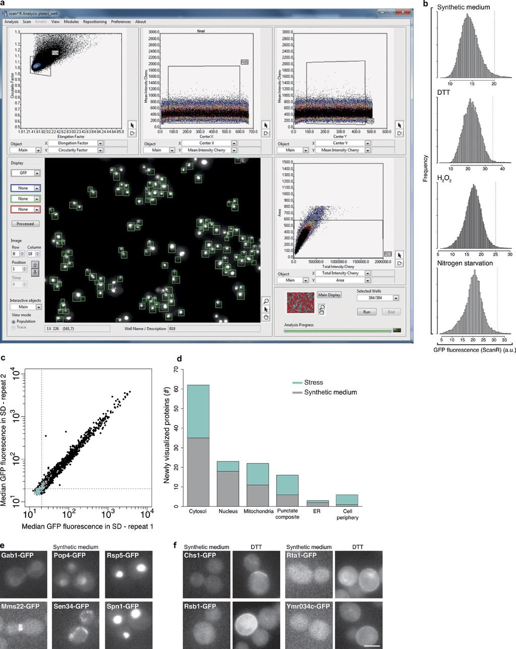 T H E J O U R N A L O F C E L L B I O L O G Y Supplemental material Breker et al., http://www.jcb.org/cgi/content/full/jcb.201301120/dc1 Figure S1. Single-cell proteomics of stress responses.