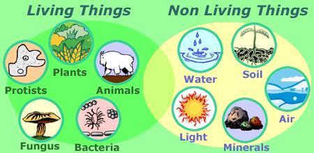 Biotic Factors: All the living things that directly or indirectly affect the ecosystem Abiotic Factors: The prefix a means non or not All