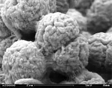 magnified images by