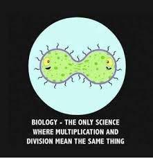 Cell division In Prokaryotes it is much simpler as there are no membrane bound organelles In Eukaryotes it is more complex and happens in two main stages Mitosis Cytokinesis Unicellular