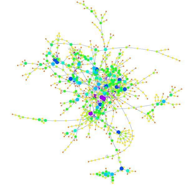Metabolic Networks Metabolic networks of H.