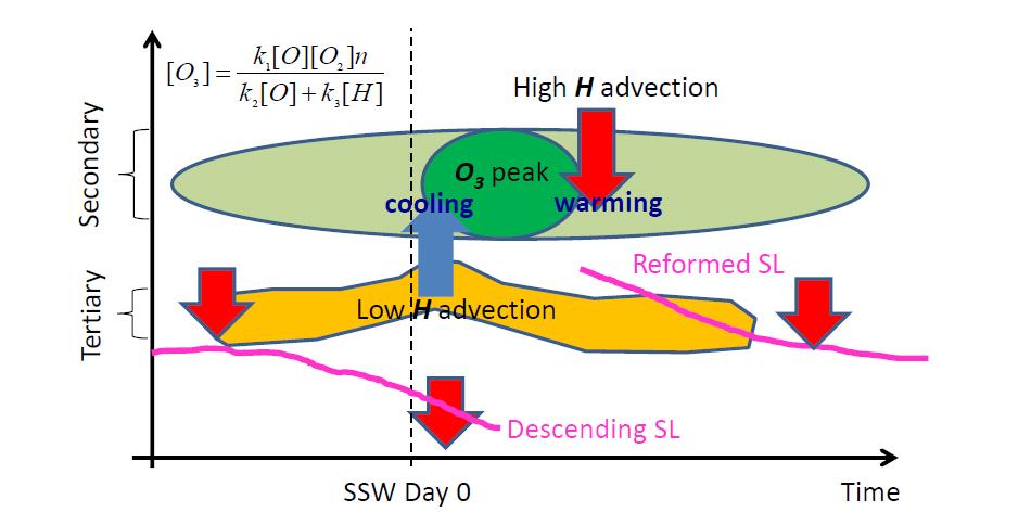 2 nd O 3 layer : peak during elevated stratopause events Main finding : Top of mesospheric ascent cooling and low H, favouring high O 3 Tweedy, O., V. Limpasuvan,Y. J. Orsolini, A. K. Smith, R.