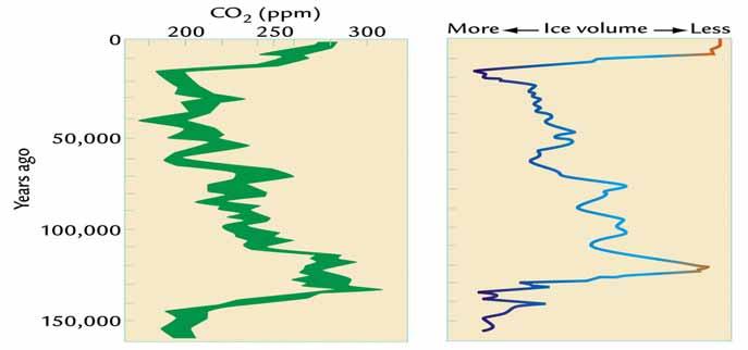 CO 2 Level and Ice Volume : Which Drives Which?
