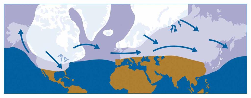 Ice-Driven Response in High Northern Latitudes (Ocean Surface Temperature) Scientists have traced evidence of ice-driven responses across the high northern from the North Atlantic Ocean to Europe to