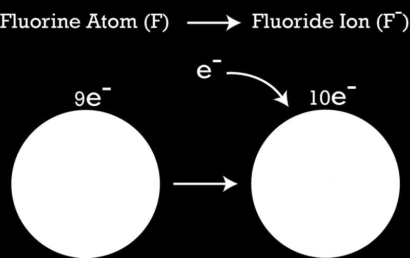 www.ck12.org Chapter 1. Inside the Atom FIGURE 1.5 When a fluorine atom gains an electron, it becomes a negative fluoride ion.