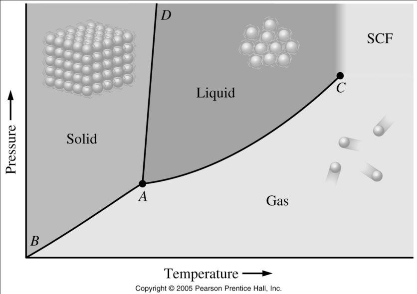 Phase diagram Shows phases of a substance at various temperatures and pressures Polymorphs can exist in more than one form