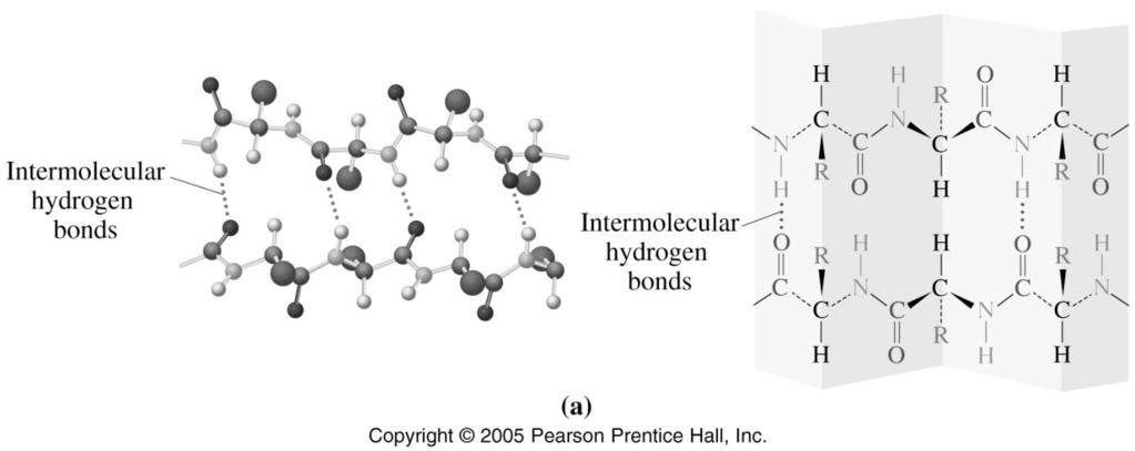 Intermolecular hydrogen bonds Can you think of other examples?