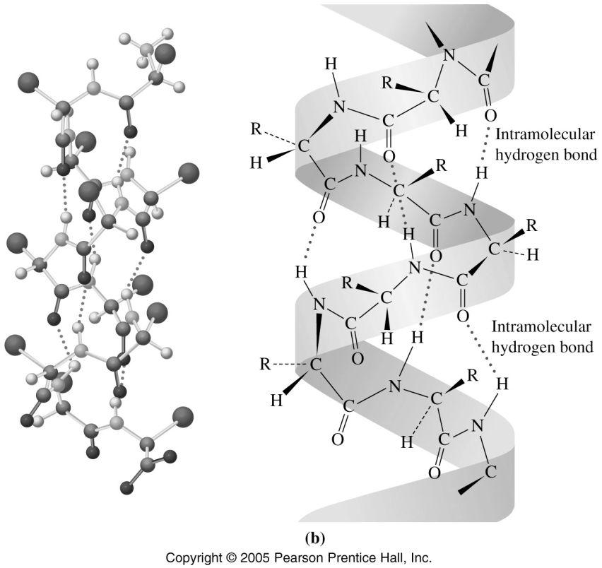 Intramolecular H-bonds (cont d) while intramolecular