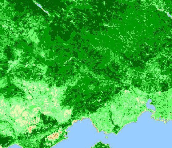 index (Normalized Difference Vegetation