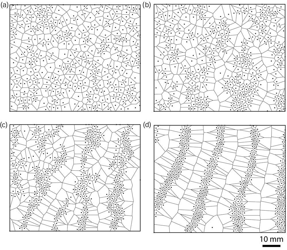 PHASES OF GRANULAR SEGREGATION IN A BINARY FIG. 3. Voronoi diagrams obtained from the positions of the phosphor-bronze spheres, for binary mixtures with various filling fraction values: a C=0.