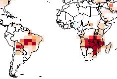 NDJ (d) Africa and South America JASO Figure 8d