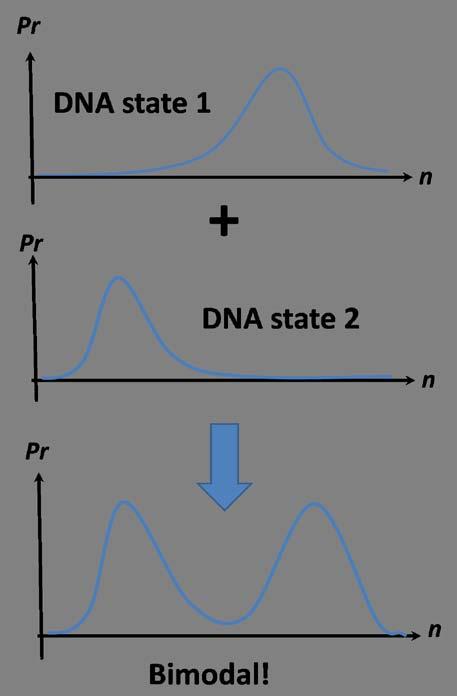 Rate formulae Gene-state switching is
