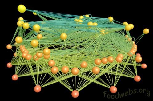 The links between network structure and