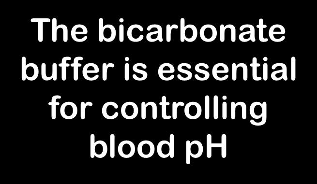 Control of blood ph Buffers and blood Oxygen is transported primarily by hemoglobin in the red blood cells.