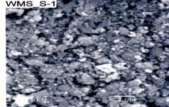 And Scanning Electron Microscopy (SEM) shows in the measurement range within 1µm and can be seen the morphology of this prepared Fe 3 O 4 particle [Fig. 3(a)].