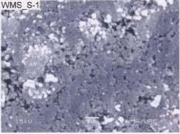 2(b) and the particle size of laterite was found about 25 nm.