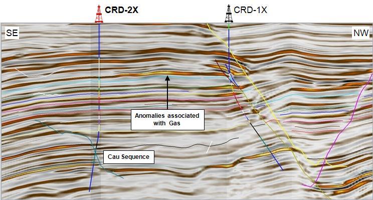The CRD (Cá Rồng Đỏ) Oil and Gas/condensate discovery in Miocene and Oligocene sandstones CRD-1X, 2X&ST, 3X&ST The CRD Miocene interval has now been evaluated by five wells: CRD-1X, 2X&ST, and
