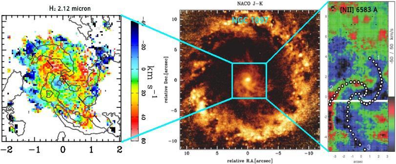 (2002) ultra-fast molecular star formation BLR