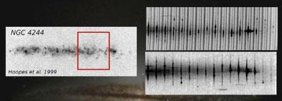 detected in HALOGAS main survey APO Multi-longslit
