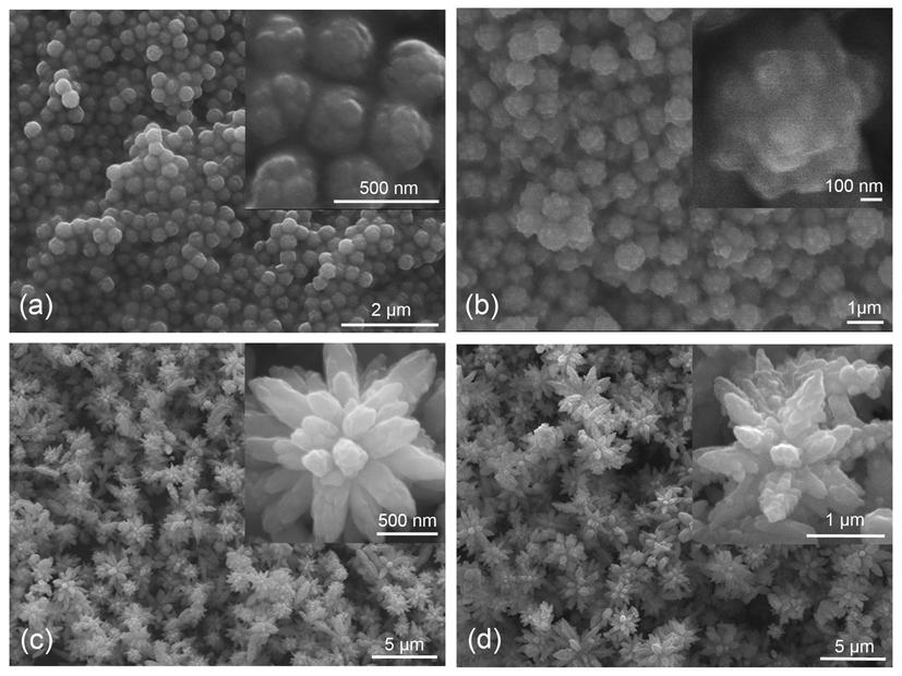 558 We performed the synthesis under different reaction time to investigate the morphology evolution of the CdS microflower and the corresponding SEM images of the as-prepared samples were