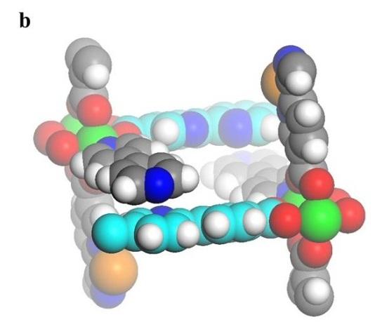 View of a section of the interpenetrated framework, unmodified dcppy ligands