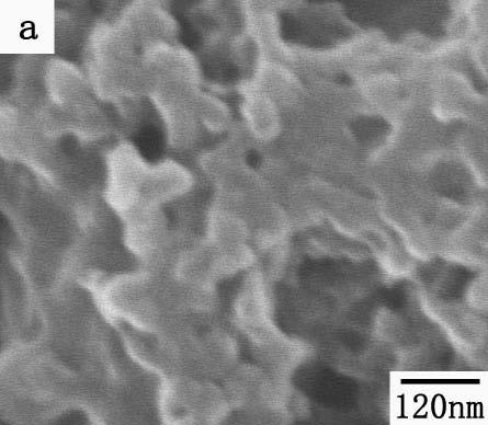 Fig. S10 SEM nd TEM imges of MOF synthesized in pure TMGT.